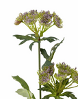 Kunstblume Halskraut lila