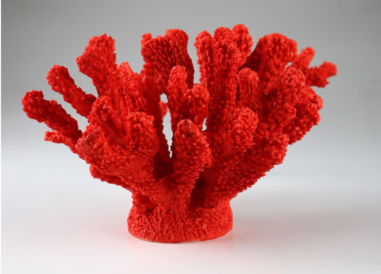 Koralle rot Deko – curtisandcurtis
