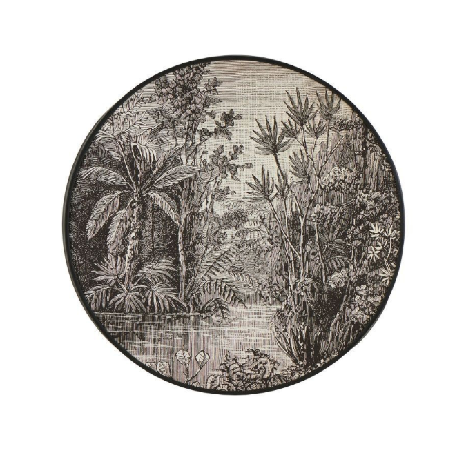 Bild rund Palmen