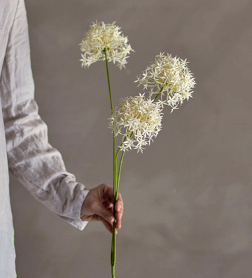 Allium Kunstblume weiss