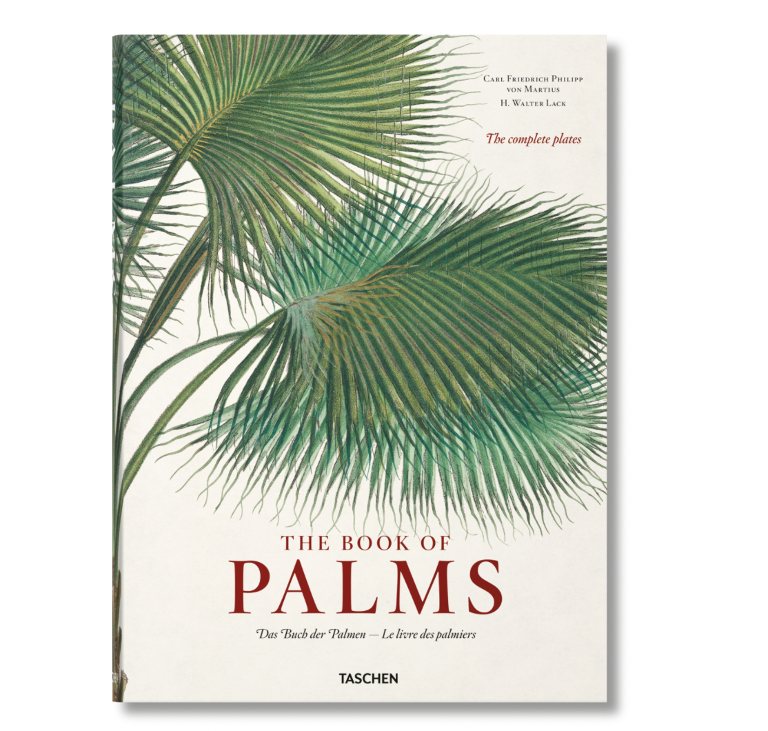 Buch The Book of palms XL