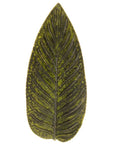 Schale Blatt Strelizie